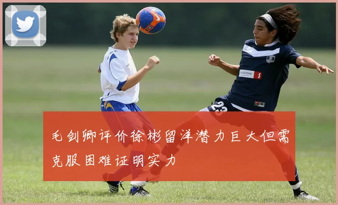 毛剑卿评价徐彬留洋潜力巨大但需克服困难证明实力