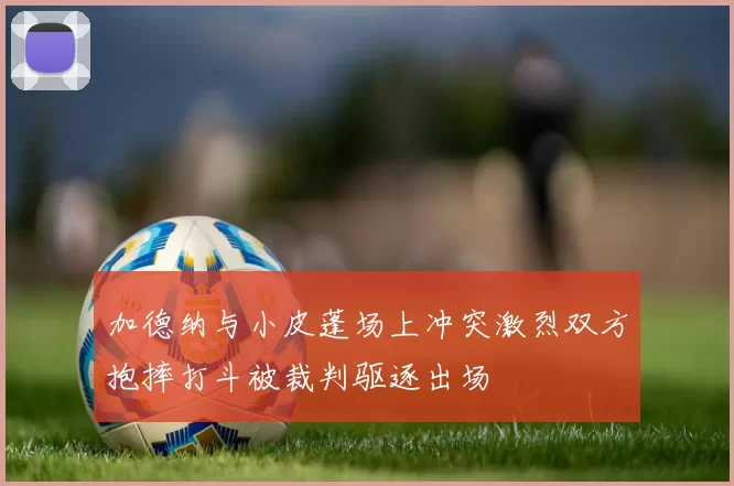 加德纳与小皮蓬场上冲突激烈双方抱摔打斗被裁判驱逐出场