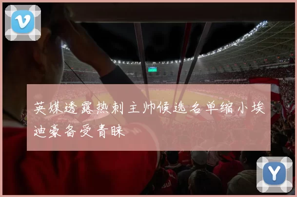 英媒透露热刺主帅候选名单缩小埃迪豪备受青睐