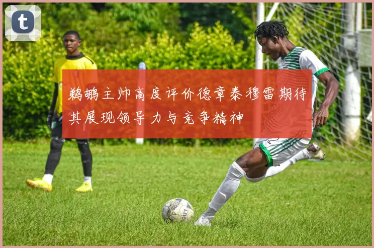 鹈鹕主帅高度评价德章泰穆雷期待其展现领导力与竞争精神